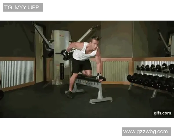 哑铃与杠铃的全面对比与选择指南助你打造完美健身计划